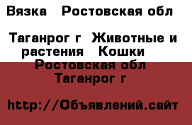 Вязка - Ростовская обл., Таганрог г. Животные и растения » Кошки   . Ростовская обл.,Таганрог г.